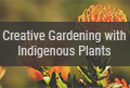 Creative Gardening with Indigenous Plants