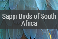 Sappi Birds of South Africa