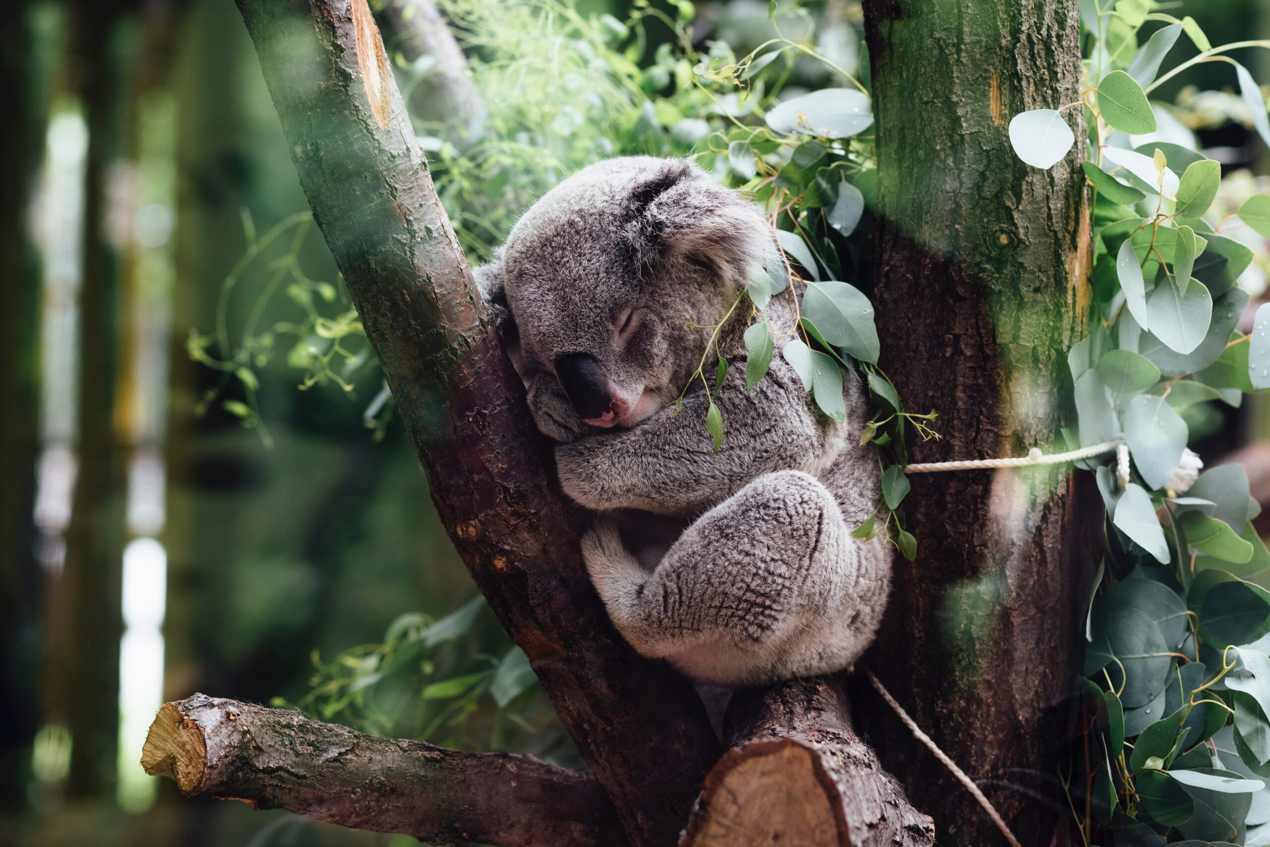 ©Jordan Whitt