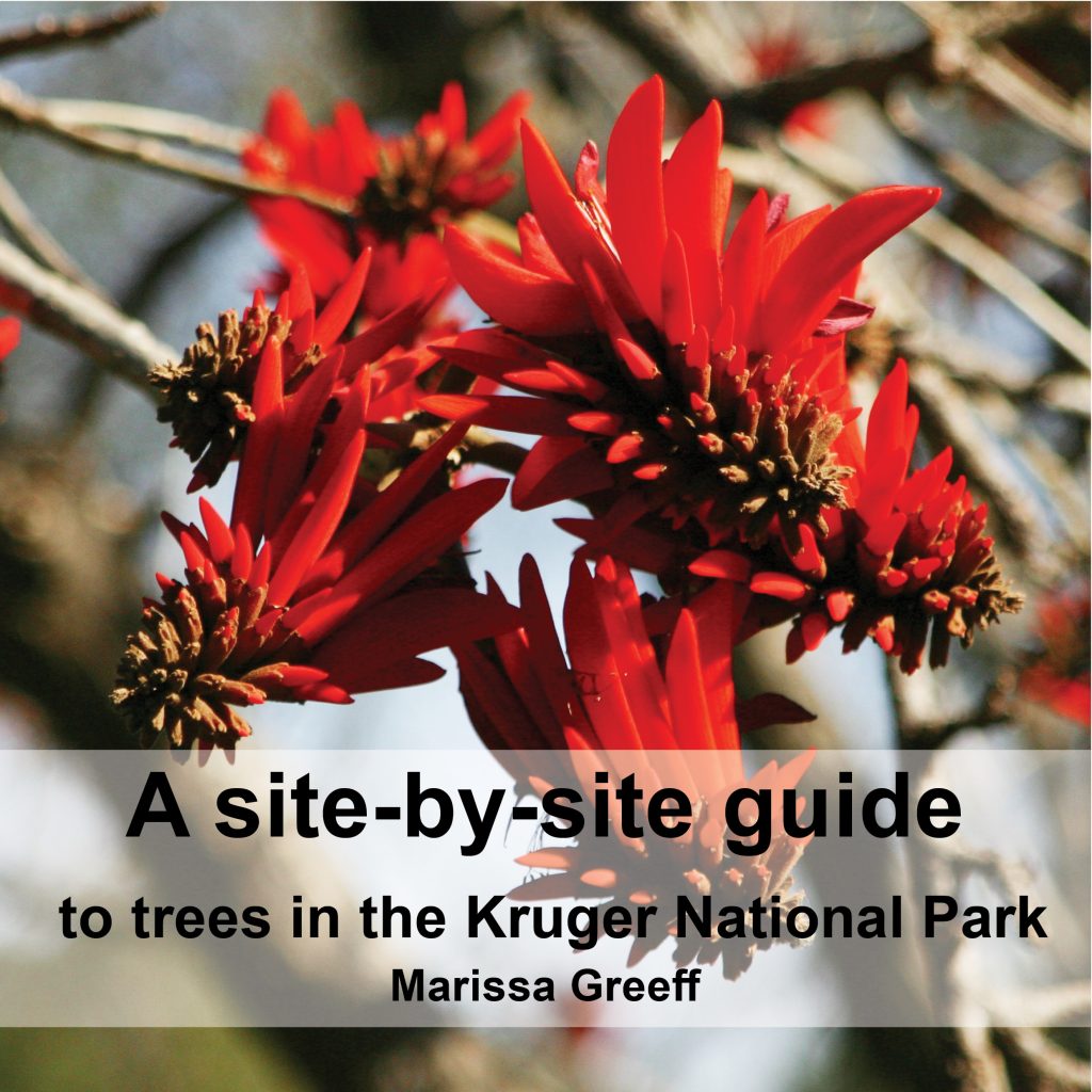 A Site-by-Site Guide to Trees in the Kruger National Park
