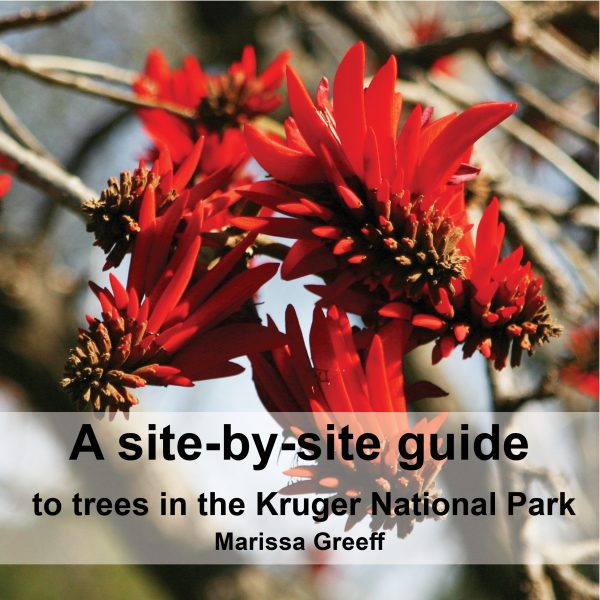 A Site-by-Site Guide to Trees in the Kruger National Park
