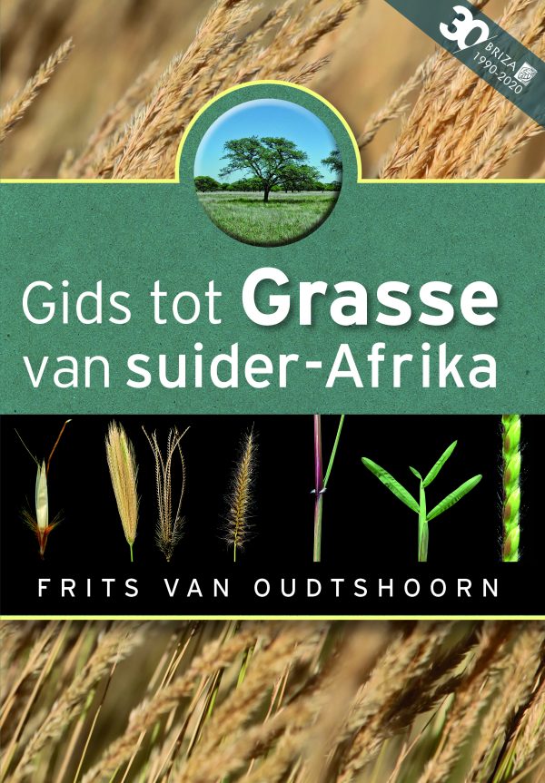 Gids tot grasse van suid-Afrika