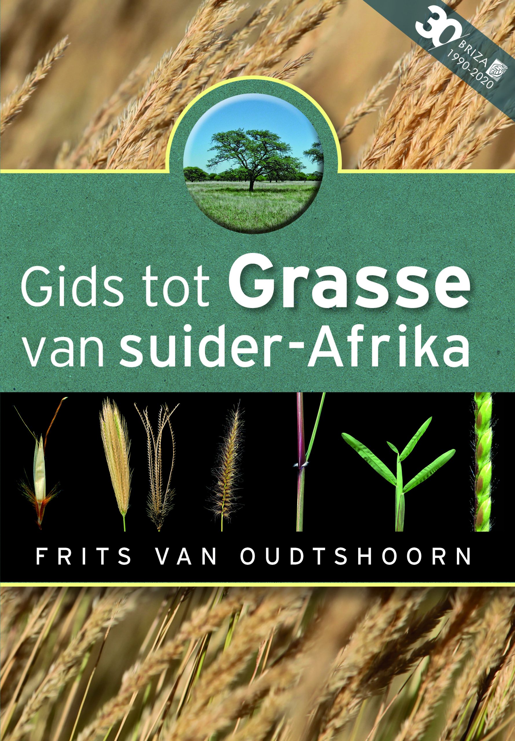 Gids tot grasse van suid-Afrika