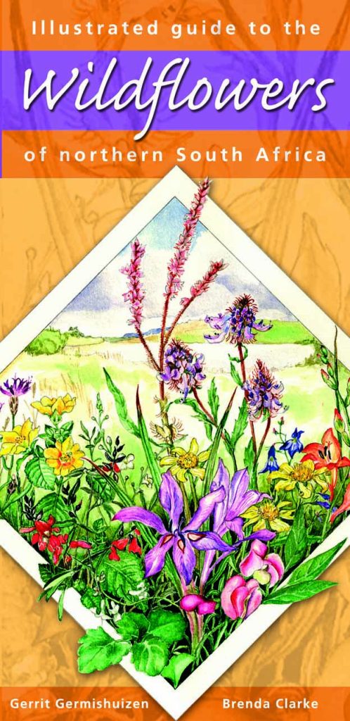 Illustrated guide to Wildflowers