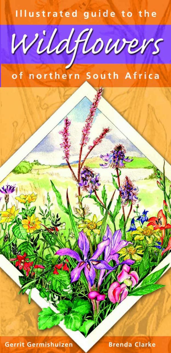 Illustrated guide to Wildflowers