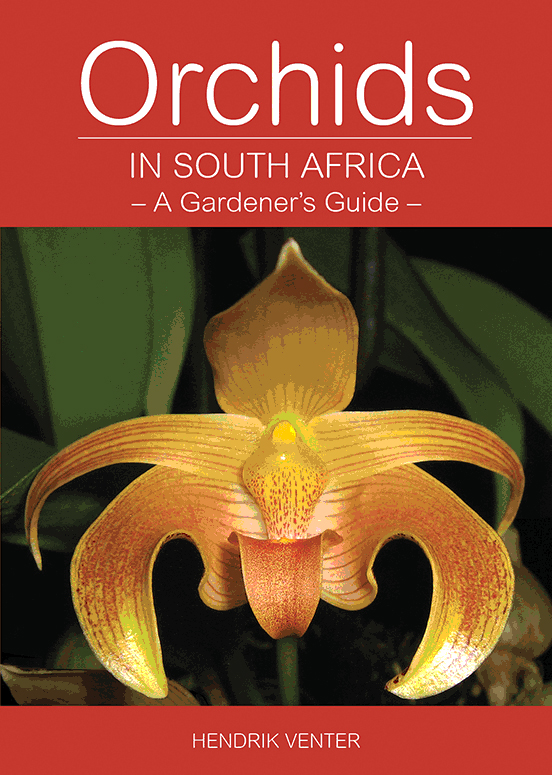 Orchids in South Africa - A Gardener’s Guide