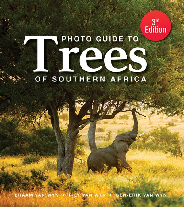 Photo Guide to the trees of Southern Africa