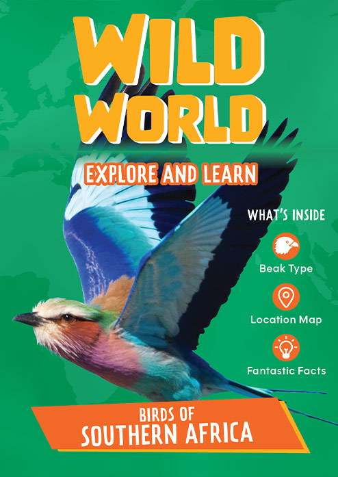 Wild World: Bird Activity Sheets